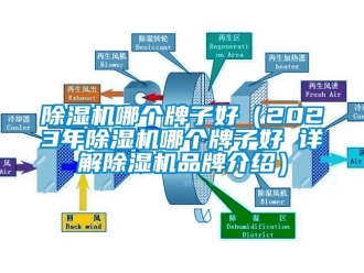 企業新聞除濕機哪個牌子好（2023年除濕機哪個牌子好 詳解除濕機品牌介紹）