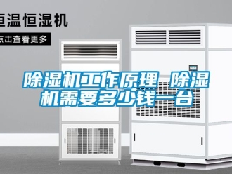 行業新聞除濕機工作原理 除濕機需要多少錢一臺