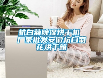 企業(yè)新聞杭白菊除濕烘干機(jī) 廠家批發(fā)安徽杭白菊花烘干箱
