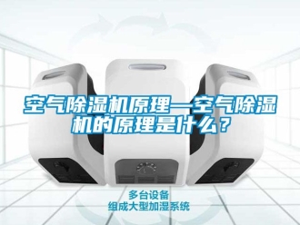 行業(yè)新聞空氣除濕機(jī)原理—空氣除濕機(jī)的原理是什么？