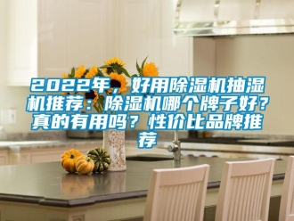 企業新聞2022年，好用除濕機抽濕機推薦：除濕機哪個牌子好？真的有用嗎？性價比品牌推薦