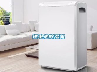 行業(yè)新聞鋰電池除濕機