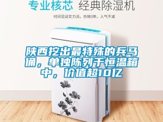 知識百科陜西挖出最特殊的兵馬俑，單獨陳列于恒溫箱中，價值超10億