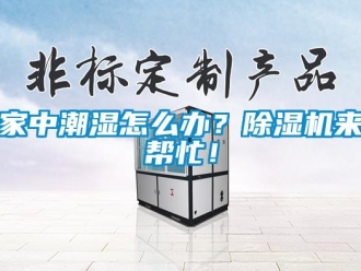 常見問題家中潮濕怎么辦？除濕機來幫忙！
