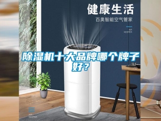 企業新聞除濕機十大品牌哪個牌子好？