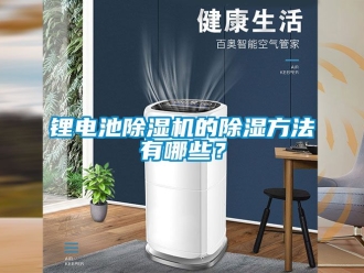 行業(yè)新聞鋰電池除濕機的除濕方法有哪些？