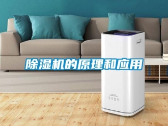 常見問題除濕機(jī)的原理和應(yīng)用