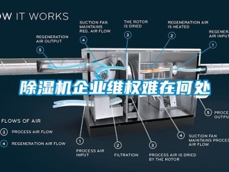常見問題除濕機企業維權難在何處