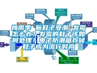 常見(jiàn)問(wèn)題梅雨季 新鞋子受潮 發(fā)霉怎么辦？發(fā)霉的鞋子該如何處理？電子防潮箱存儲(chǔ)鞋子成為流行時(shí)尚
