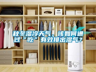 常見問題秋冬濕冷天氣，該如何通過“吃”有效排出濕氣？