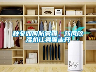 常見問題秋冬如何防霧霾，新風除濕機讓霧霾走開
