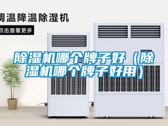 行業新聞除濕機哪個牌子好（除濕機哪個牌子好用）