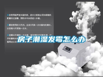 常見問題房子潮濕發霉怎么辦