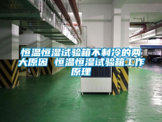 知識百科恒溫恒濕試驗(yàn)箱不制冷的兩大原因 恒溫恒濕試驗(yàn)箱工作原理