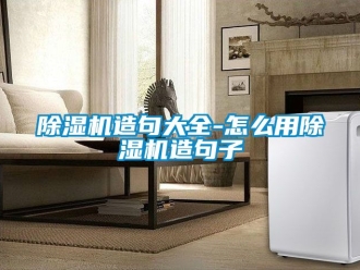 行業新聞除濕機造句大全-怎么用除濕機造句子