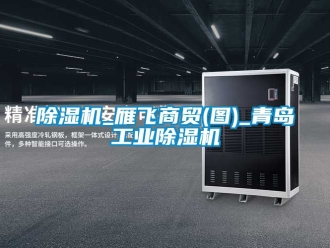 常見(jiàn)問(wèn)題除濕機(jī)_雁飛商貿(mào)(圖)_青島工業(yè)除濕機(jī)