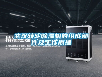 常見問題武漢轉(zhuǎn)輪除濕機(jī)的組成部件及工作原理