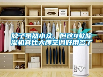 行業(yè)新聞牌子雖然小眾，但這4款除濕機真比大牌空調(diào)好用多了