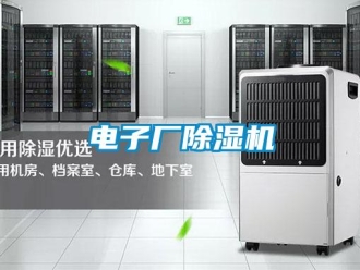企業(yè)新聞電子廠除濕機