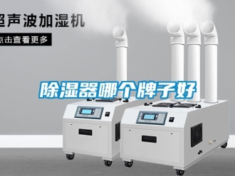 行業新聞除濕器哪個牌子好