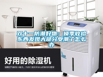常見問題雙十一防潮好物：換季收拾東西發現大部分受潮了怎么辦