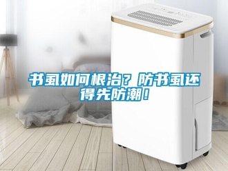 常見問題書虱如何根治？防書虱還得先防潮！