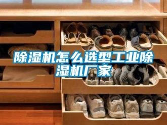 企業(yè)新聞除濕機怎么選型工業(yè)除濕機廠家