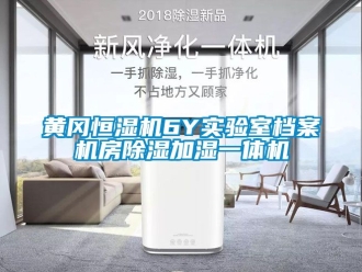 知識百科黃岡恒濕機(jī)6Y實(shí)驗(yàn)室檔案機(jī)房除濕加濕一體機(jī)