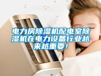 企業(yè)新聞電力房除濕機配電室除濕機在電力設備行業(yè)越來越重要！