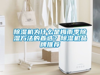企業新聞除濕機為什么是梅雨季除濕方法的首選？除濕機品牌推薦