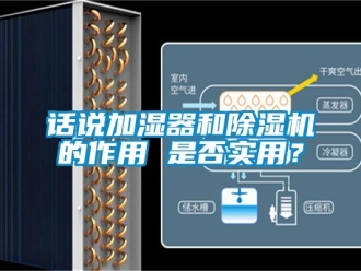 行業新聞話說加濕器和除濕機的作用 是否實用？