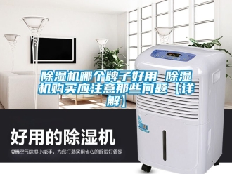 行業新聞除濕機哪個牌子好用 除濕機購買應注意那些問題【詳解】