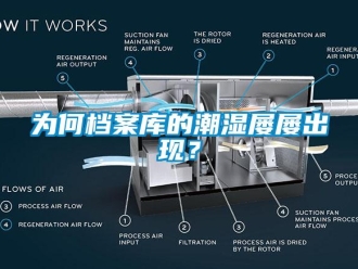 知識百科為何檔案庫的潮濕屢屢出現？