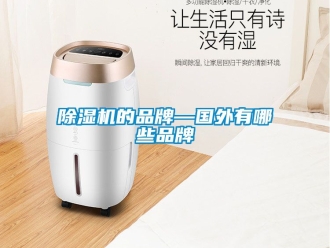 企業(yè)新聞除濕機(jī)的品牌—國外有哪些品牌