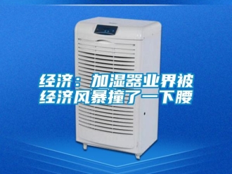行業新聞經濟：加濕器業界被經濟風暴撞了一下腰