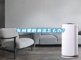 企業(yè)新聞車間里很潮濕怎么辦？