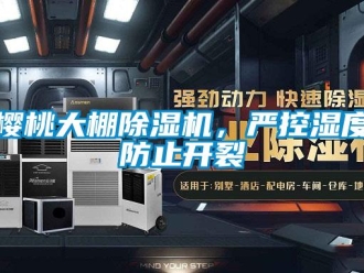 知識(shí)百科櫻桃大棚除濕機(jī)，嚴(yán)控濕度防止開(kāi)裂