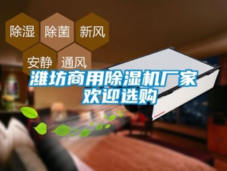企業(yè)新聞濰坊商用除濕機(jī)廠家 歡迎選購(gòu)