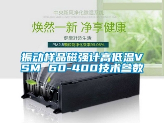 常見問題振動(dòng)樣品磁強(qiáng)計(jì)高低溫VSM 60-400技術(shù)參數(shù)