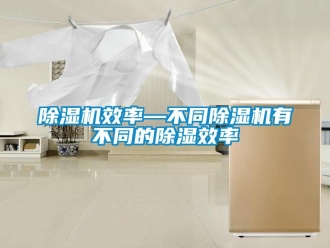 行業新聞除濕機效率—不同除濕機有不同的除濕效率