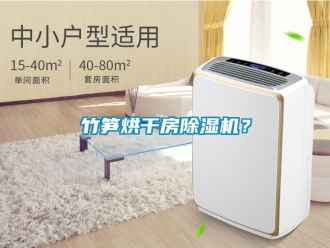 知識百科竹筍烘干房除濕機？
