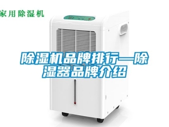 企業新聞除濕機品牌排行—除濕器品牌介紹
