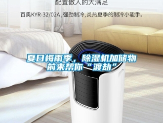 知識百科夏日梅雨季，除濕機加儲物前來幫你“渡劫”