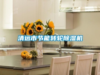 常見(jiàn)問(wèn)題清遠(yuǎn)市節(jié)能轉(zhuǎn)輪除濕機(jī)