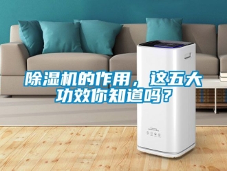 企業新聞除濕機的作用，這五大功效你知道嗎？