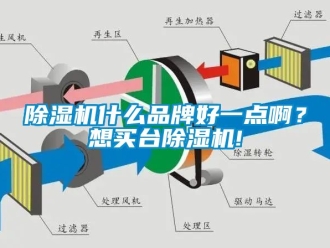 企業新聞除濕機什么品牌好一點啊？想買臺除濕機!
