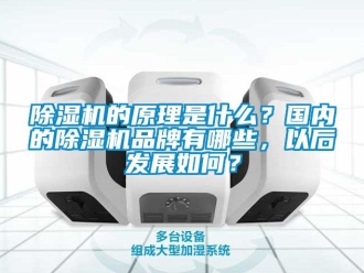 企業(yè)新聞除濕機(jī)的原理是什么？國內(nèi)的除濕機(jī)品牌有哪些，以后發(fā)展如何？