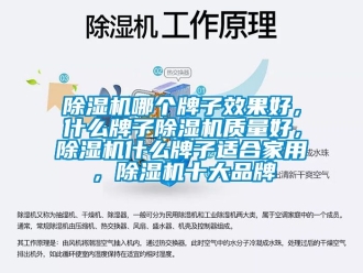企業(yè)新聞除濕機哪個牌子效果好，什么牌子除濕機質(zhì)量好，除濕機什么牌子適合家用，除濕機十大品牌