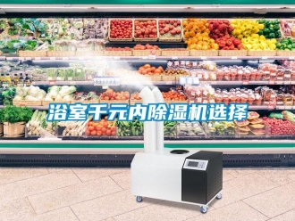 知識百科浴室千元內除濕機選擇