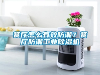 常見問題餐廳怎么有效防潮？餐廳防潮工業除濕機